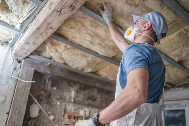 Best Energy Efficiency Solutions in White Knoll, SC
